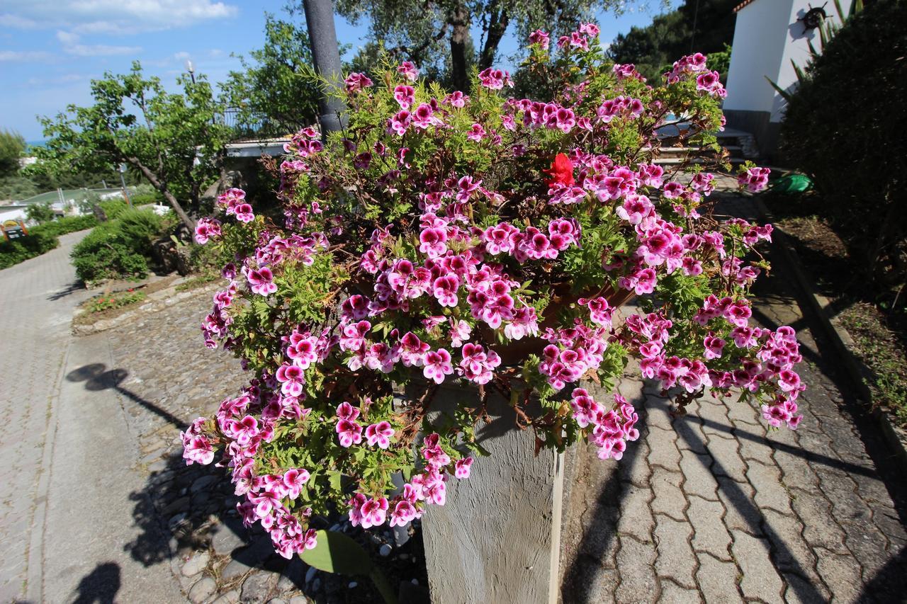 Villaggio Passo Dell'Arciprete Vieste Kültér fotó